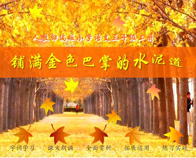 人教部编版小学语文三年级上册课文《铺满金色巴掌的水泥道》flash教学课件